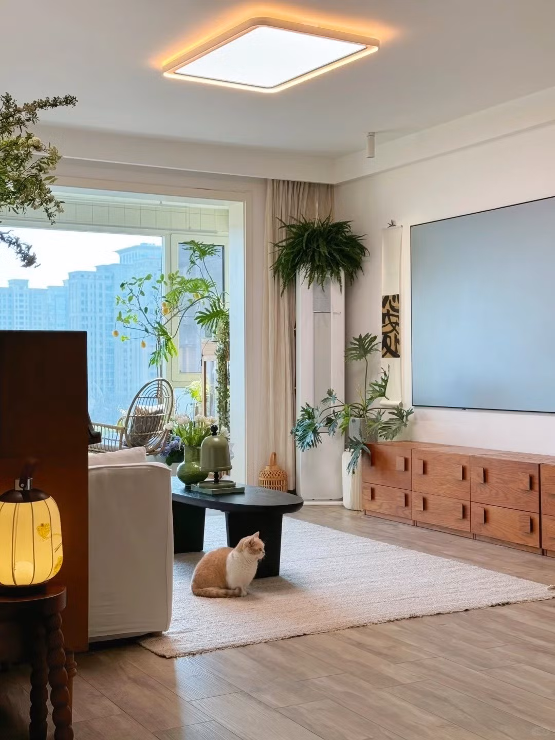 Bằng con mắt nghệ thuật của một nhiếp ảnh gia tài năng, Tiểu Giang biến tổ ấm thành một không gian sống tinh tế, nơi ánh sáng, cây xanh và nội thất hòa quyện, góc nào lên hình cũng đẹp như trong tranh. Ảnh: Sohu