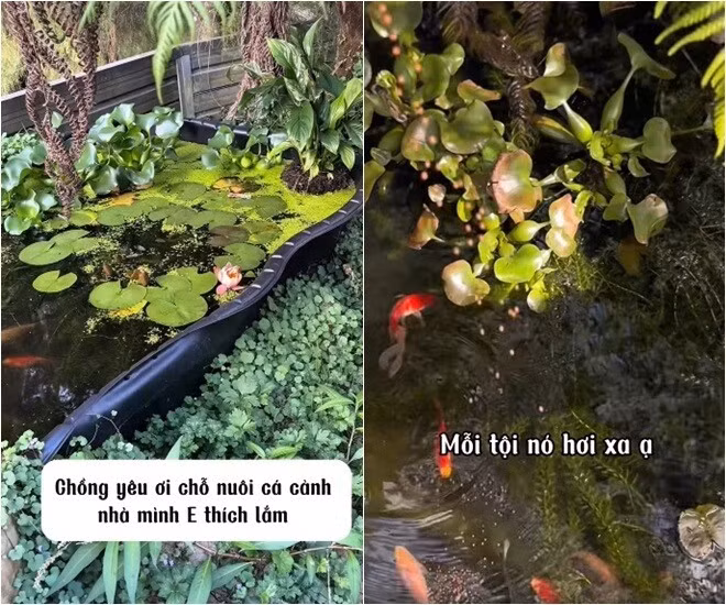 Cảnh quan ngoài trời cũng được ông xã chiều theo ý của nữ diễn viên. Ảnh: FBNV