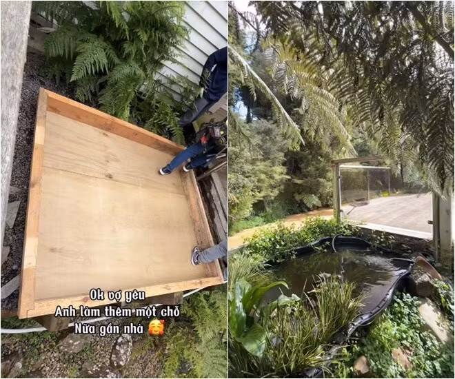 Khu vực nuôi cá cảnh. Ảnh: FBNV
