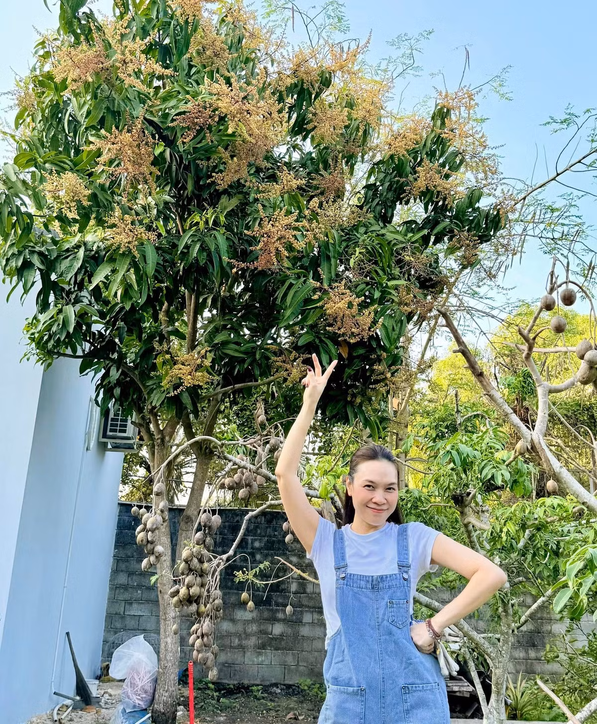 Ngoài căn biệt thự hoành tráng tại Phú Nhuận, ca sĩ Mỹ Tâm còn sở hữu một căn nhà vườn rộng hàng nghìn mét vuông ở Củ Chi (TP HCM). Ảnh: FB My Tam