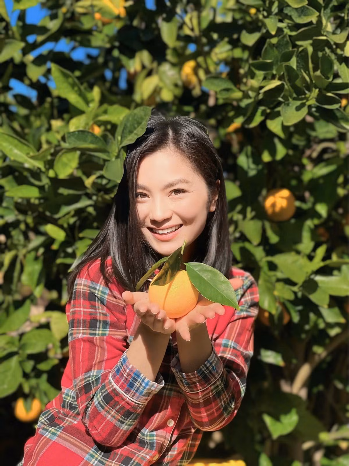 Rời xa hào quang sân khấu để định cư tại Mỹ, diễn viên Diệu Hương xây dựng được tổ ấm bình yên với không gian sống ngập tràn sắc xanh. Ảnh: FB Diệu Hương