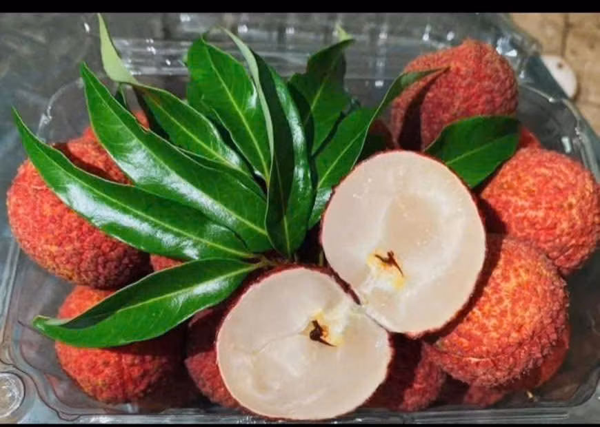 Do số lượng hạn chế nên một số cửa hàng phải từ chối khách đặt mua vải ngọc bởi đơn hàng quá tải. Ảnh: Facebook