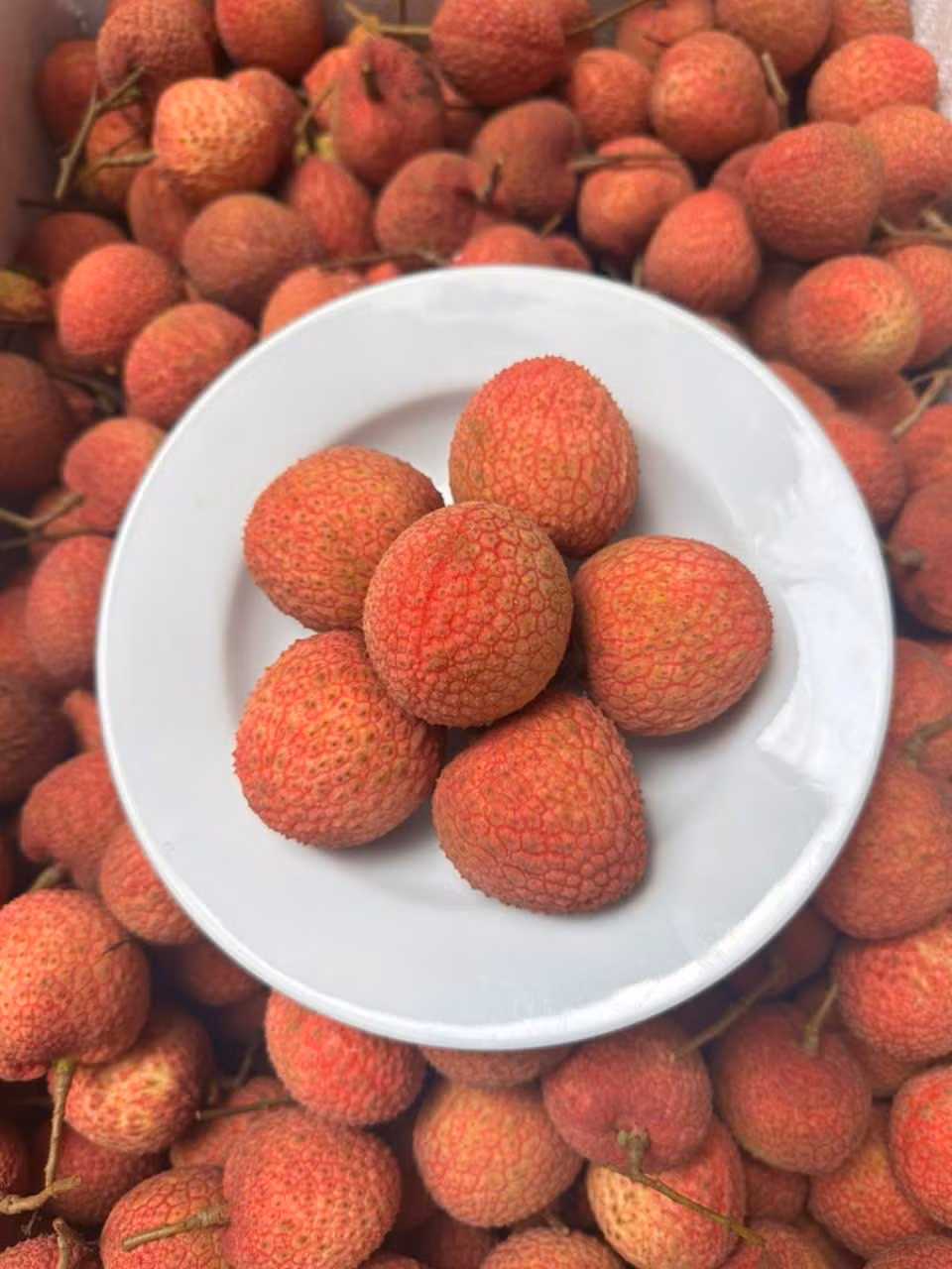Trên các chợ online, vải ngọc được rao bán từ 300.000 - 600.000 đồng/kg, tùy loại. Ảnh: Facebook