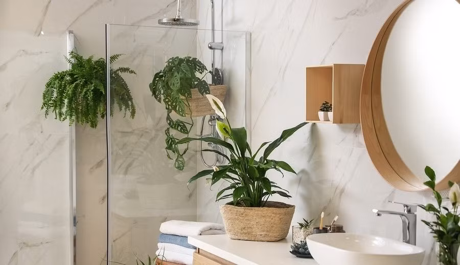 Một số người đặt cây xanh trong nhà vệ sinh với mong muốn khử mùi và tăng tính thẩm mỹ. Tuy nhiên, môi trường thiếu sáng và độ ẩm cao khiến cây dễ bị thối rễ, sinh nấm mốc, từ đó làm không khí càng thêm ô nhiễm. Ảnh: Decox Design