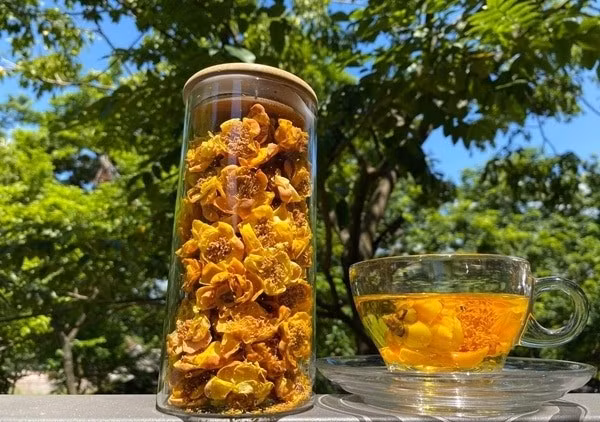 Trên thị trường, hoa trà tươi có giá trung bình 600.000 đồng/kg, có thể thay đổi tùy vào chất lượng, thời điểm thu hái, bảo quản. Ảnh: Internet