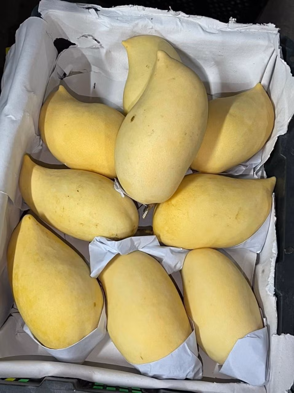 Tuy nhiên, một đầu mối bán sỉ trái cây tại Hà Nội cho biết, xoài móc câu là hàng nội địa Trung Quốc. Ảnh: Vietnamnet