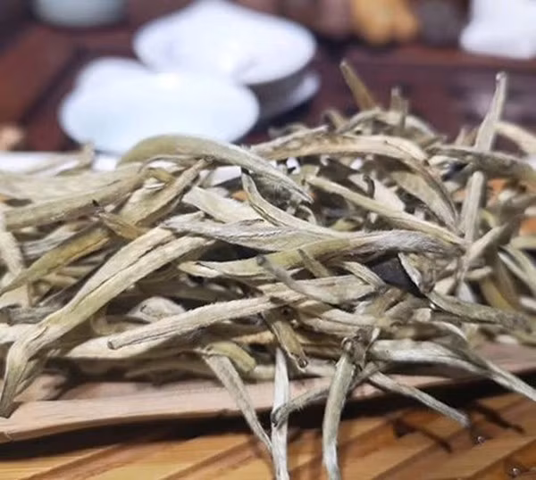 Tôm trà của chè cổ thụ Bạch Long thanh mảnh và trắng, phần thân được bao phủ bởi những sợi lông trắng. Ảnh: Internet