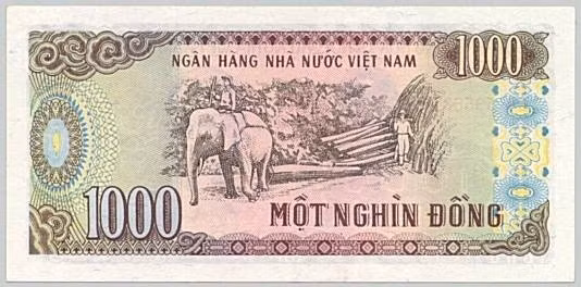 Tờ 1.000 đồng kích thước 134mm x 65mm, mặt trước in chân dung Chủ tịch Hồ Chí Minh. Mặt sau in hình người lao động cưỡi voi khai thác gỗ ở Tây Nguyên. Ảnh: Internet