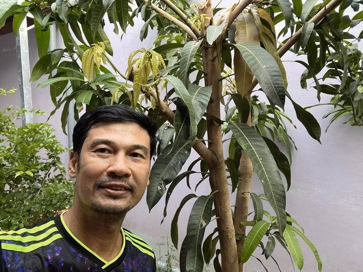 Xoài ra lá non, sắp cho trái. Ảnh: FBNV