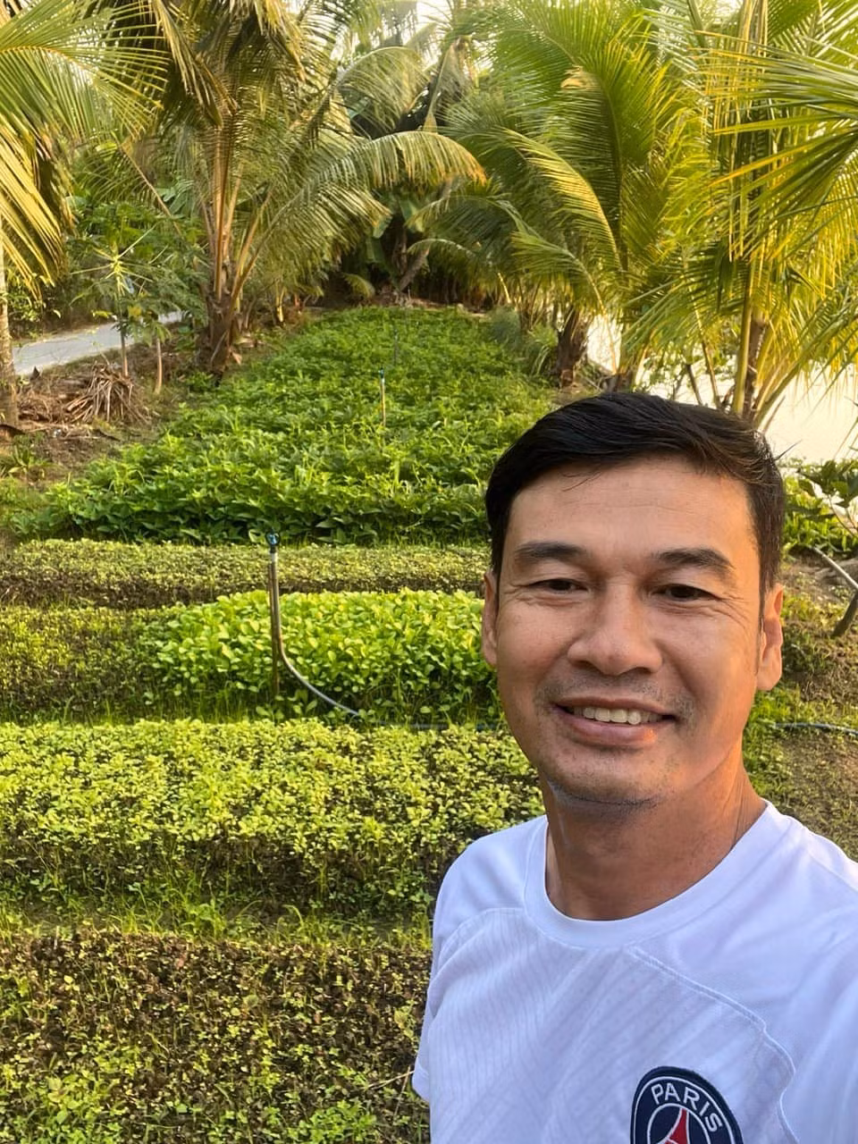 Vườn rau xanh mướt mà nhiều người ao ước. Ảnh: FBNV