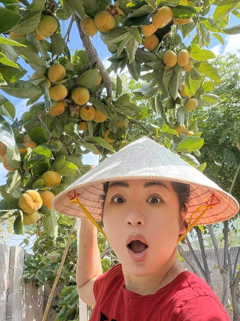 Nữ danh hài thích thú tạo dáng bên cây hồng lúc lỉu quả. Ảnh: FB Trần Thúy Nga
