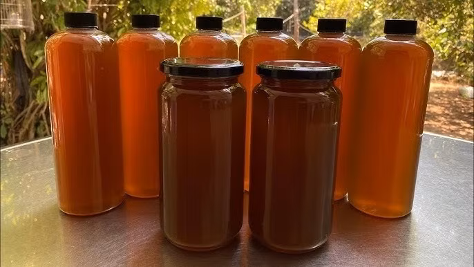 Người dân nhiều vùng cho rằng mật ong dú thơm nồng, vị chua nhẹ và có mùi đặc trưng khó lẫn – được đánh giá cao hơn cả mật ong rừng thông thường. Ảnh: Internet