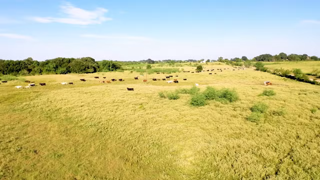 Trong các video, Vương Phạm từng cho biết khoảng năm 2020, anh bắt đầu mua lại các lô đất nông nghiệp, có cơ hội phát triển thành cơ sở hạ tầng. Ảnh: FBNV