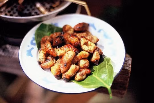 Dù trông có phần "khiếp vía" nhưng đuông chà là được đánh giá là béo ngậy, thơm bùi, giàu dinh dưỡng được nhiều thực khách say mê. Ảnh: Vietnamnet