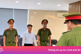 Thu giữ gần 11.000 hũ yến sào giả chuẩn bị tung ra thị trường