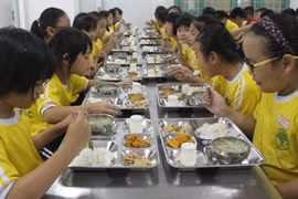 [SPOTLIGHT] TP HCM kiểm tra quy mô lớn hơn 300 cơ sở suất ăn học đường