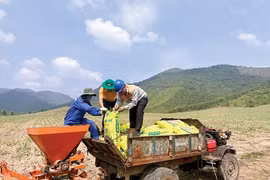 PVFCCo - Phú Mỹ tăng trưởng từ thị trường quốc tế và sản phẩm mới
