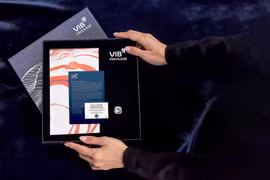 VIB Privilege Banking đưa khách hàng nhìn lại mỹ thuật thời Đổi mới