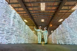 PVFCCo-Phú Mỹ: Khi những giá trị truyền thống hội tụ phát triển bền vững