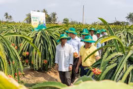 Điểm tựa cho một mùa vụ vững tin hơn 