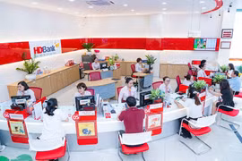 HDBank là doanh nghiệp tiêu biểu về năng lượng, môi trường xanh