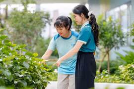 Vin Nexus Center: Trường học hạnh phúc hình trái tim và những gam màu “lạ"