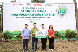 SeABank “xanh hóa” vận hành, nâng cao ý thức bảo vệ môi trường 