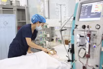 Cứu sống bé trai 15 tháng tuổi bị ong vò vẽ đốt 60 nốt, suy đa cơ quan