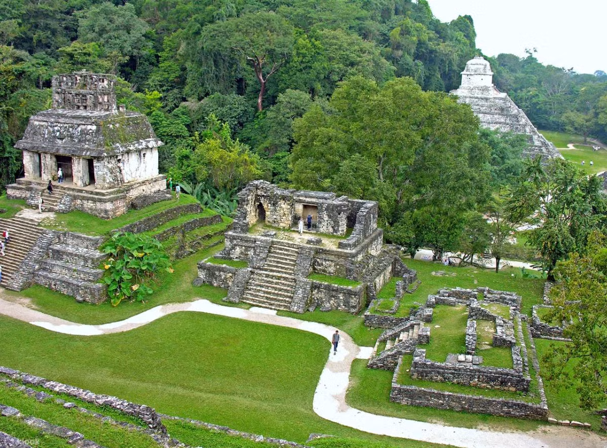 Còn được gọi là Lakamha, Palenque nằm gần sông Usumacinta thuộc bang Chiapas của Mexico. Ảnh: @Viện Nhân chủng học và Lịch sử Quốc gia Mexico.