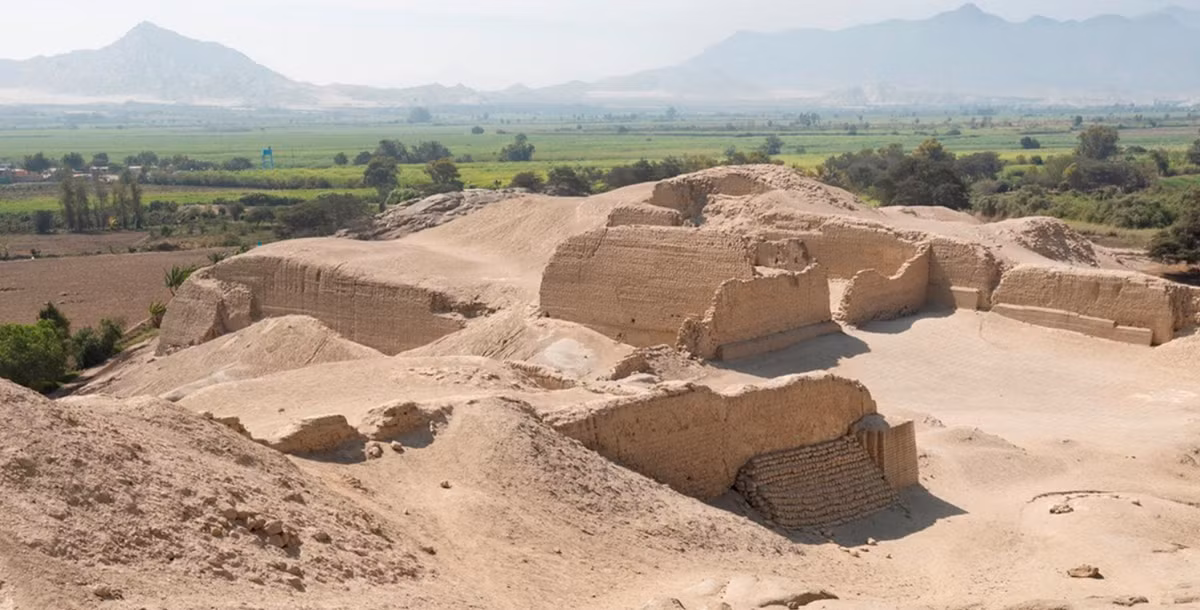 Khi tiến hành khai quật tại khu di chỉ khảo cổ Pañamarca ở Peru, các chuyên gia đến từ Bảo tàng Khoa học &amp; Tự nhiên Denver bất ngờ tìm thấy một quần thể di tích lạ. Ảnh: @Bảo tàng Khoa học &amp; Tự nhiên Denver.