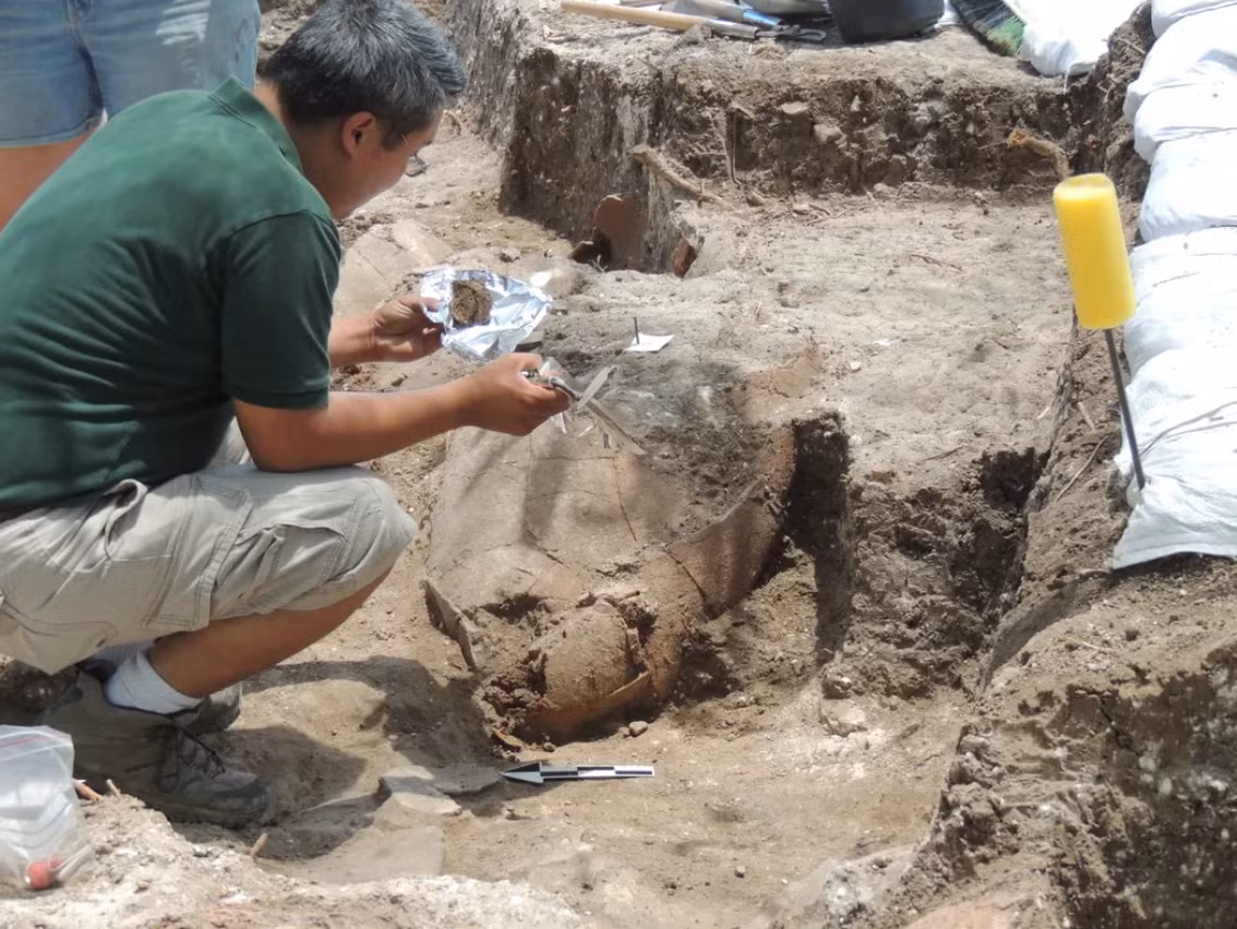 Kết quả cho thấy, cách đây khoảng 3.700 năm trước, tại Tel Kabri, những người làm rượu Canaanite đã sử dụng mật ong, dầu tuyết tùng, cây cyperus, cây bách xù, nhựa cây storax, nhựa cây terebinth, bạc hà, cây sim và quế làm chất phụ gia cho rượu Canaanite để tăng thêm hương vị, loại rượu này dùng để tổ chức tiệc chiêu đãi triều đình, hoàng gia…Ảnh: @Đại học Brandeis.