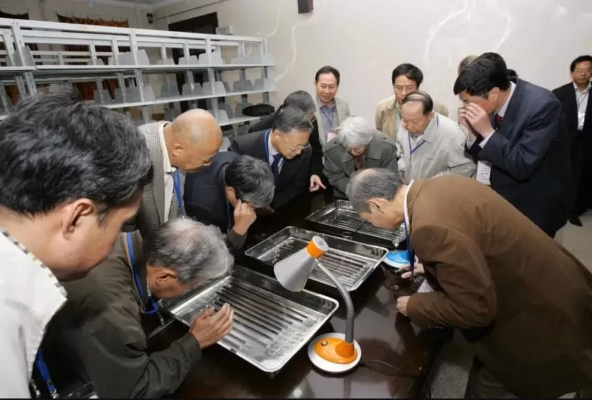 Tại một bộ sưu tập cổ lớn tại Đại học Thanh Hoa, các chuyên gia đã tìm thấy văn bản trên tre có niên đại hơn 2.000 năm tuổi. Ảnh: @Tbatb.