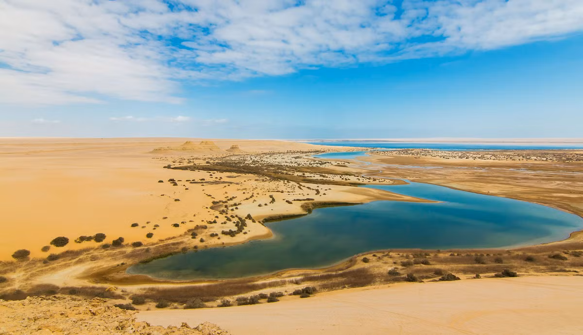 Ốc đảo Faiyum là một vùng trũng trong sa mạc, phía tây sông Nile, hoặc chỉ cách Cairo, Ai Cập 100 km về phía nam. Nơi đây chứa tàn tích của nhiều ngôi làng cổ, thành phố Ai Cập cổ đại và cả Crocodilopolis/Arsinoe - nơi được dành riêng cho thần cá sấu Sobek. Ảnh: @Trips In Egypt.