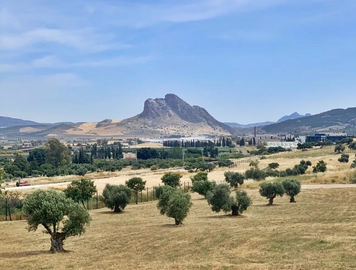 Công trình ngôi mộ đá này được xác định là Dolmen I thuộc nghĩa trang La Lentejuela ở Teba, tỉnh Málaga. Ảnh: @Đại học Cádiz.