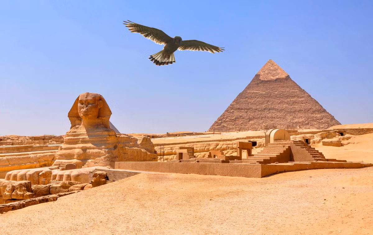 Giáo sư Salima Ikram thuộc Đại học Cairo, Ai Cập, tác giả chính của nghiên cứu này cho biết, ở Ai Cập cổ đại, người ta thường chế biến các loài chim làm lễ vật cúng tế, bằng cách moi ruột và phơi khô, sau đó nhúng vào nhựa nóng chảy và gói lại rồi đem đi dâng tế. Ảnh: @Đại học Cairo.