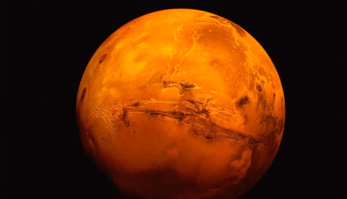 Trong bộ phim The Martian, phi hành gia Mark Watney (do diễn viên Matt Damon thủ vai) đã sống sót, sau khi bị mắc kẹt trên Hành tinh Đỏ, bằng cách trồng khoai tây trên đất sao Hỏa được bón bằng phân. Ảnh: @ Simple Wikipedia.