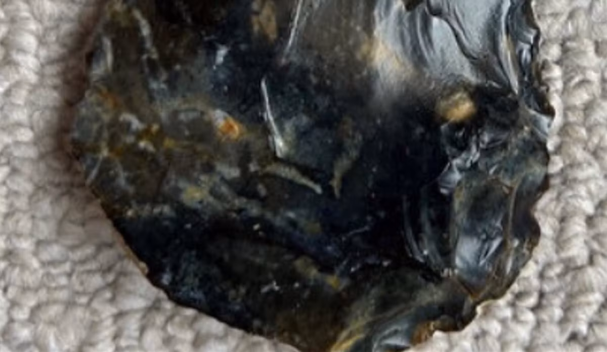 Ông cũng nhấn mạnh rằng, đầu rìu của người Neanderthal xưa được tìm thấy là cực kỳ hiếm. Ảnh: @Bảo tàng Worthing.