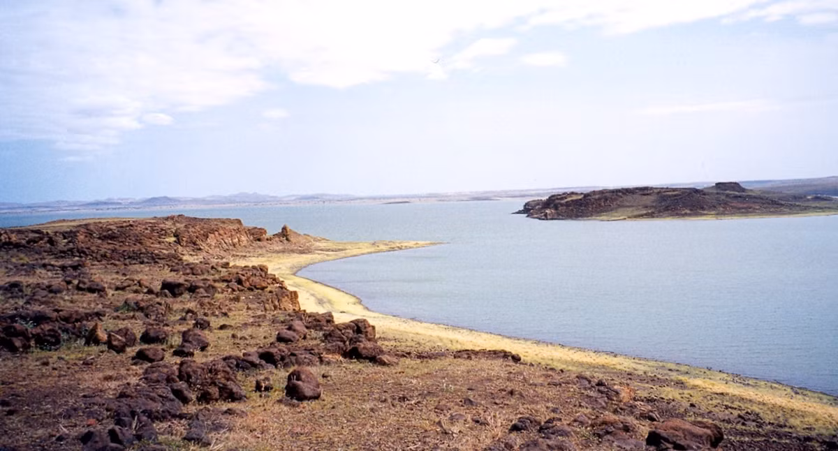 Nó được khai quật ở Đông Turkana, miền bắc Kenya. Ảnh: @Đại học Stony Brook.