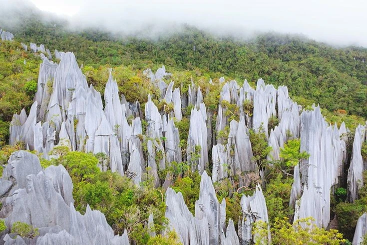 Cảnh quan siêu thực ở vườn quốc gia nổi tiếng nhất Malaysia