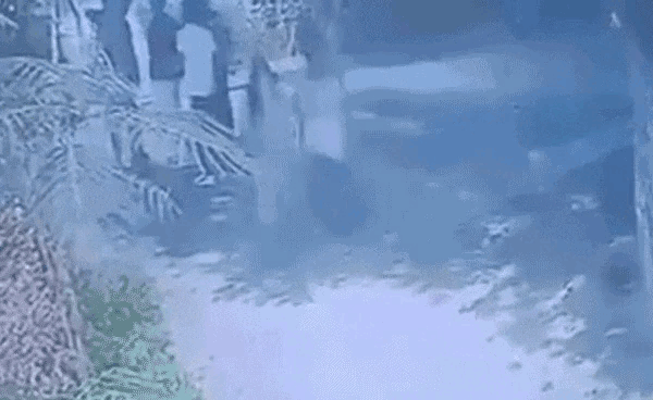 5 sinh viên trú mưa dưới cây ngã gục vì sét đánh