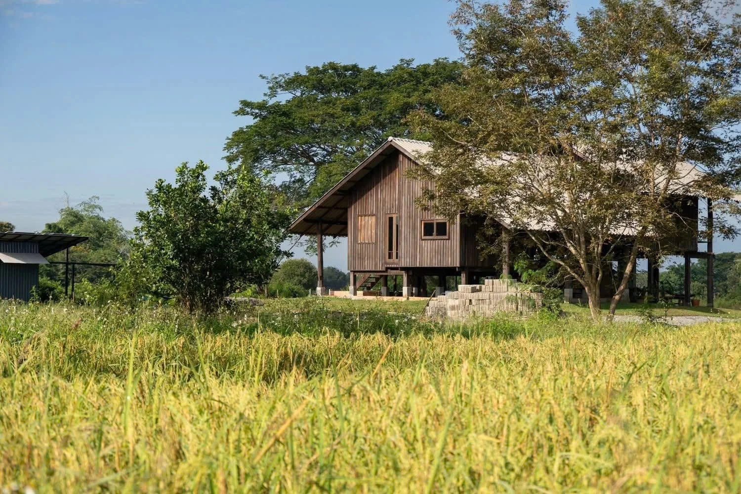 [GALLERY] Nhà sàn đẹp như mơ "sống tự nhiên" giữa cánh đồng lúa