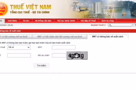 [SPOTLIGHT] Nợ thuế bị tạm hoãn xuất cảnh, tra cứu cách nào?