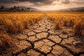 [VIDEO] Nguy cơ siêu El Nino tái diễn năm 2026, đe dọa thế giới