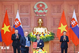Việt Nam - Slovakia mở ra cơ hội hợp tác mới sau nâng cấp quan hệ