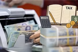 [VIDEO] Cục Thuế mở rộng kiểm tra doanh nghiệp trăm tỉ lỗ liên tiếp