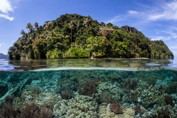 Cảnh quan siêu thực ở quần đảo thiên đường của Indonesia 