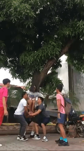 Trước đó, không ít lần netizen từng chứng kiến những màn hái trộm xoài của netizen. Đặc biệt là thời gian tháng 4-5 khi loại quả này chín rộ trên các con đường.