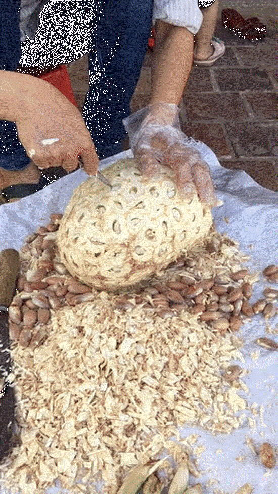 Nhìn đám xơ mít, cùi mít tan nát mà chỉ biết thở dài.