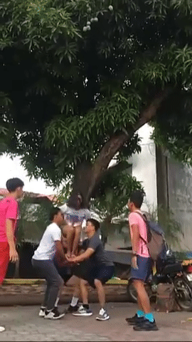 Thuở bé, ai chẳng từng một lần "soi" cây xoài trĩu quả của hàng xóm. Những trái xoài xanh lủng lẳng, ngon lành, chỉ cần nhìn là đã "chảy cả nước miếng". Ai cũng ao ước mình có phép thần của Tề thiên đại thánh, bay lên một cái là hái trộm xoài.