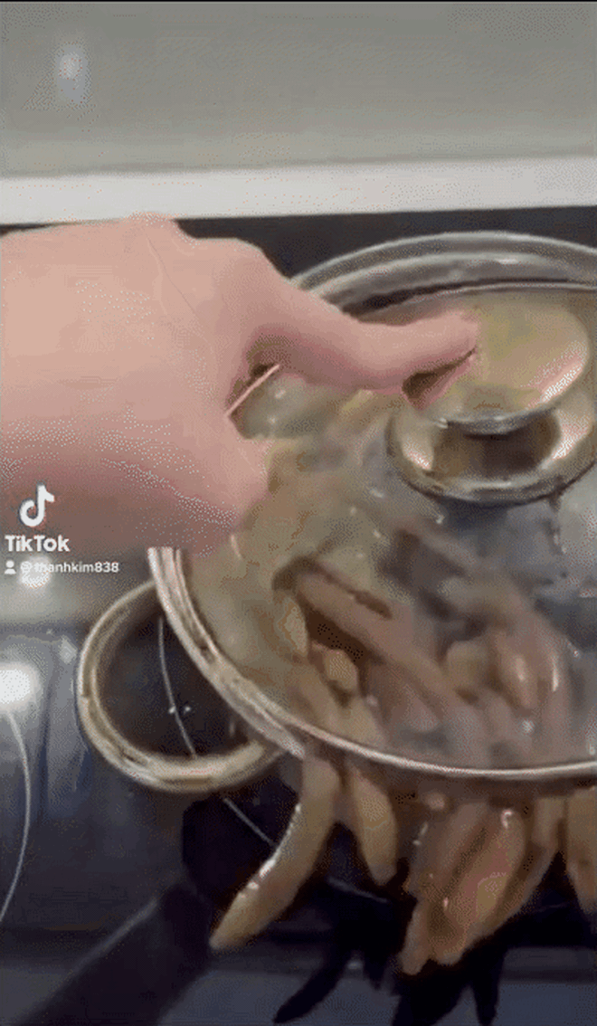  Lươn vốn là món ăn khoái khẩu của nhiều người. Tuy nhiên, ăn thì dễ chứ làm thì không chắc. Thậm chí, nhiều người còn sợ hết hồn khi nhìn loài vật này, chỉ khi chúng được chế biến thì mới không còn sợ.